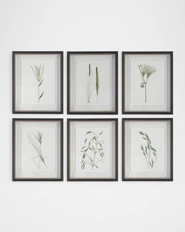 "Forest Finds" Framed Botanical Prints, Set of 6